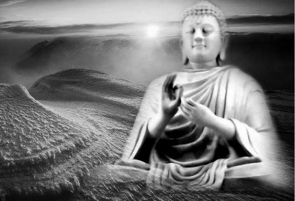 Nén hương đêm thành đạo